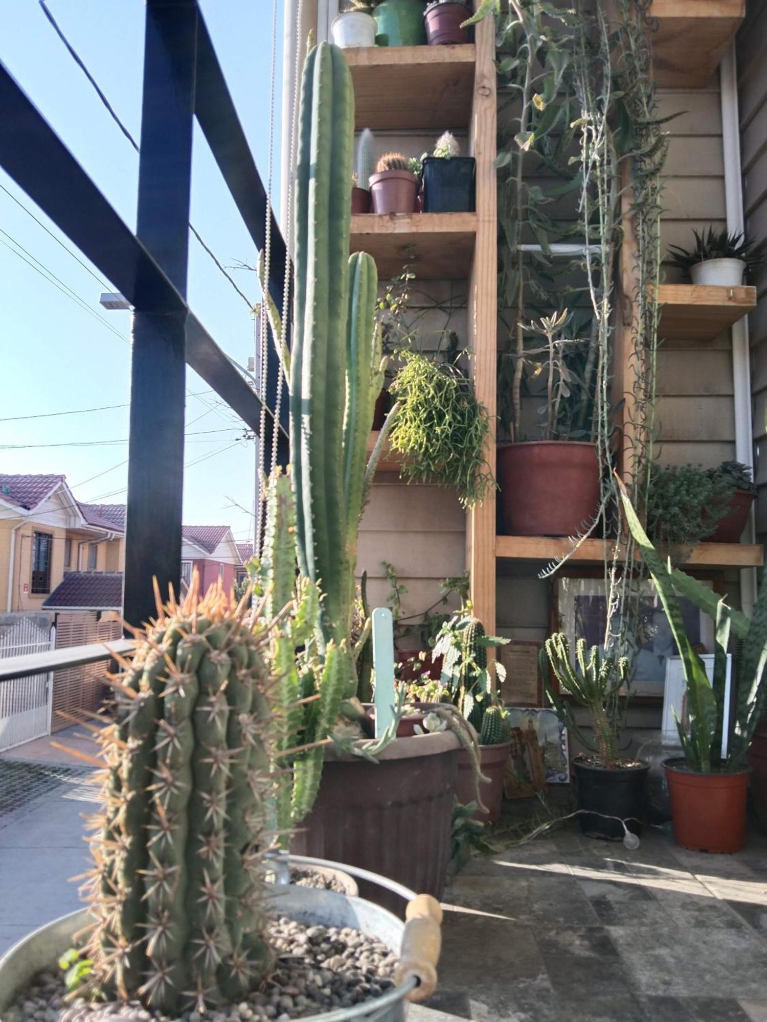 Hostel Tu Espacio Re - Habitaciones Cerca Del Aeropuerto Santiago del Cile Esterno foto